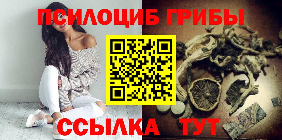 Псилоцибиновые грибы Psilocybine cubensis Кимры