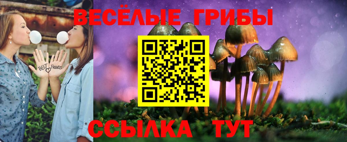 Кимры  сколько стоит  Вход с VPN  Галлюциногенные грибы Cubensis  Псилоцибиновые грибы мухоморы 